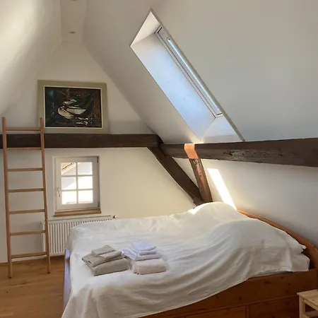 Kulturvogtei Freiburg-tiengen Pensjonat Fryburg Bryzgowijski